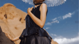 demo-attachment-564-image1